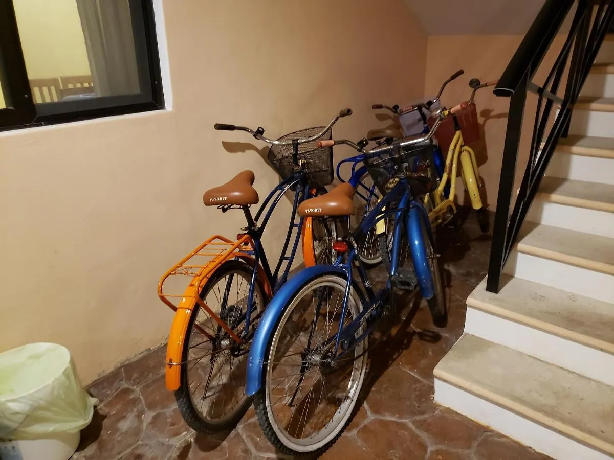 Coral Island Suites Cozumel Apartment